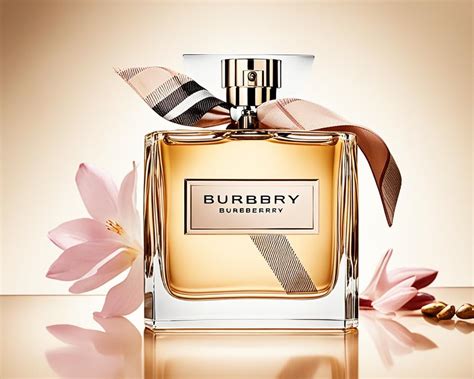burberry affordable alternative